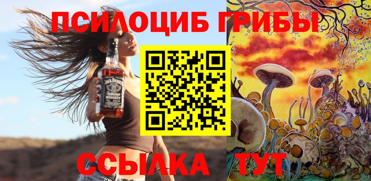 Псилоцибиновые грибы MAGIC MUSHROOMS  Вход с VPN  Ивантеевка  Галлюциногенные грибы Cubensis 